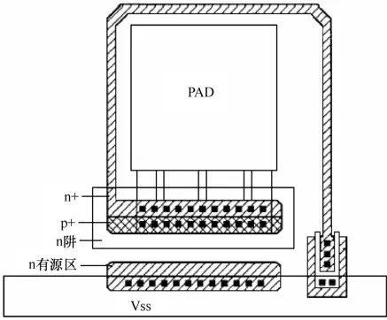 图6 SCRESD保护结构版图.jpeg